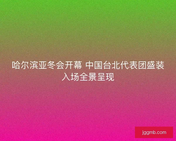 哈尔滨亚冬会开幕 中国台北代表团盛装入场全景呈现