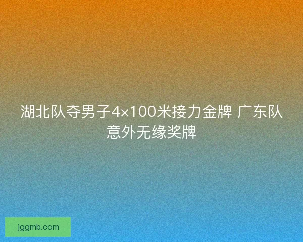 湖北队夺男子4×100米接力金牌 广东队意外无缘奖牌