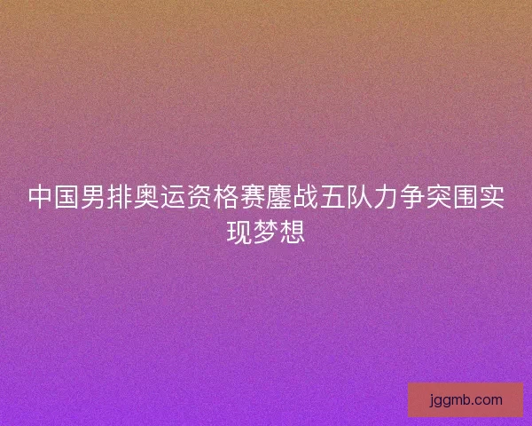 中国男排奥运资格赛鏖战五队力争突围实现梦想